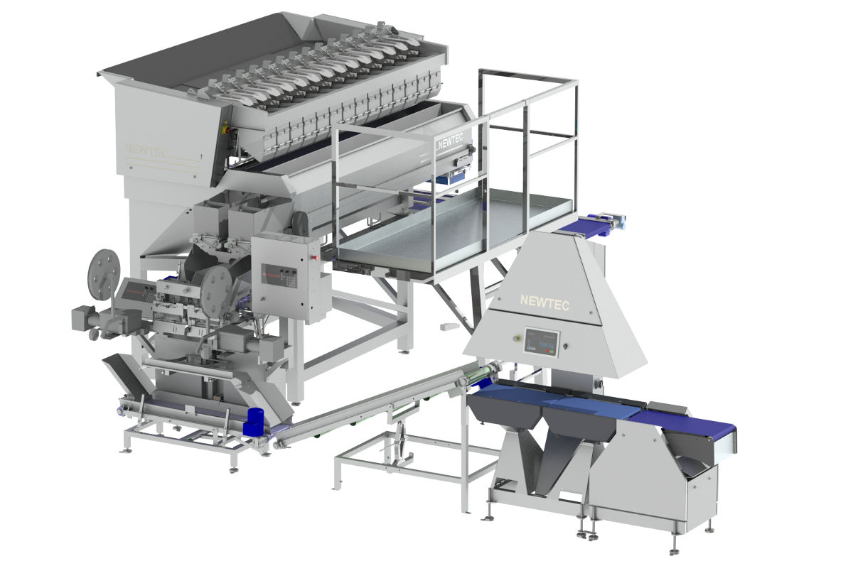 Solution; Weighing and bagging system for potatoes