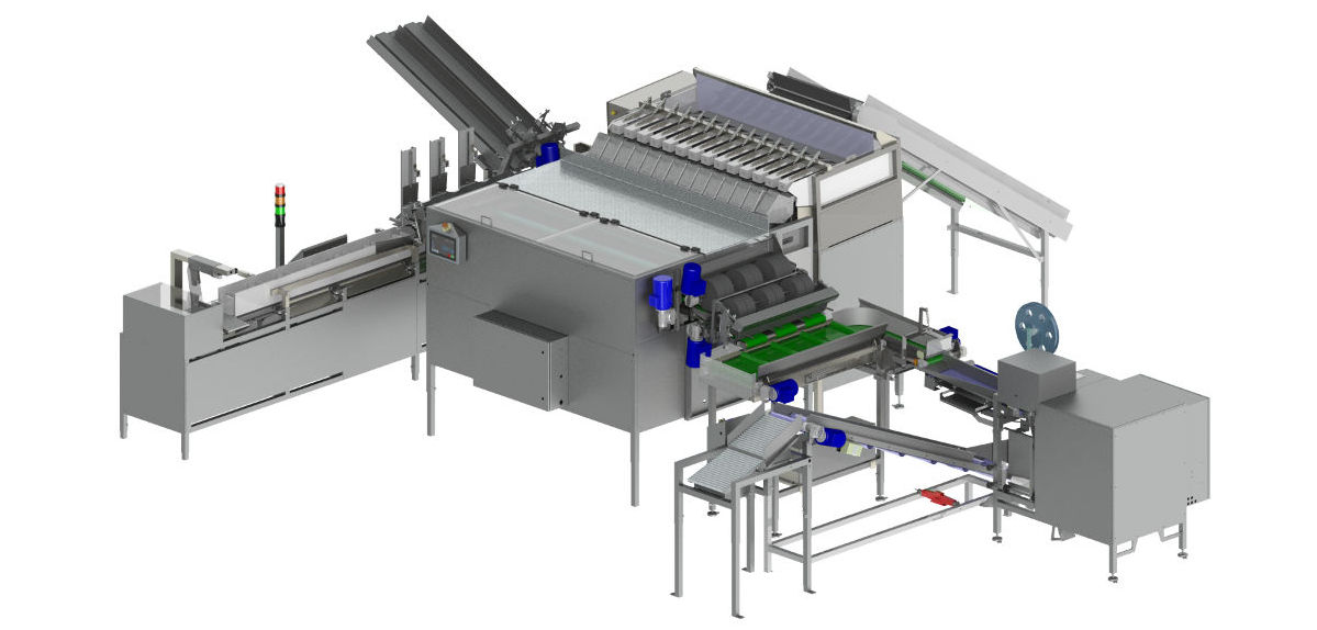 Solution; Weighing-/packing-line for both punnets and wicketed bags
